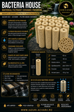Bacteria Hause-154buc