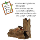 Ceramica trunchi acvariu&terariu