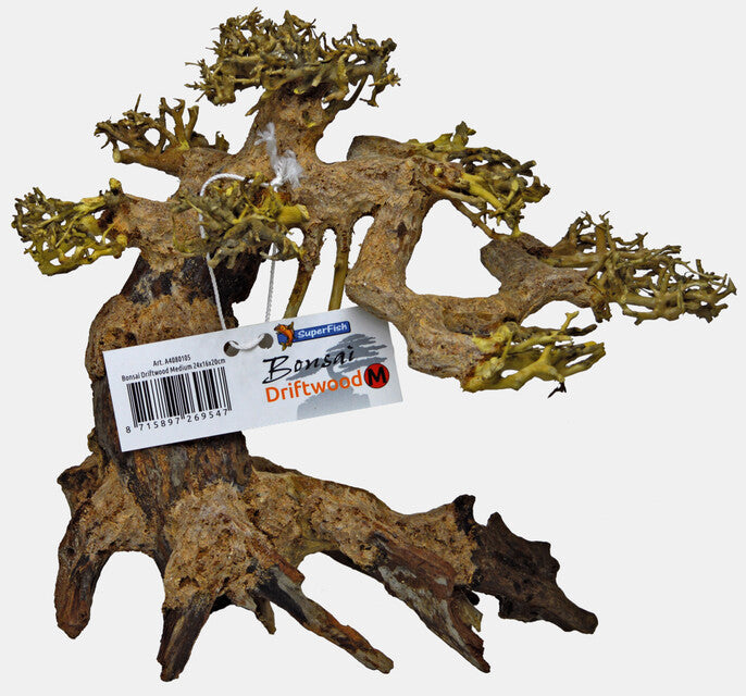 Bonsai Driftwood-24 x 16 x 20 cm