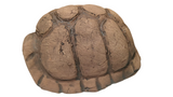 Decor ceramic carapace de broasca țestoasa