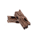 Grota reproducere ancistrus -20cm