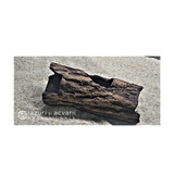 Grota reproducere ancistrus -20cm