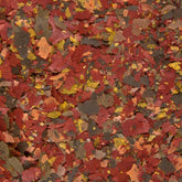 Fulgi Tropica food-1kg