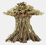 Bonsai Mushroom M