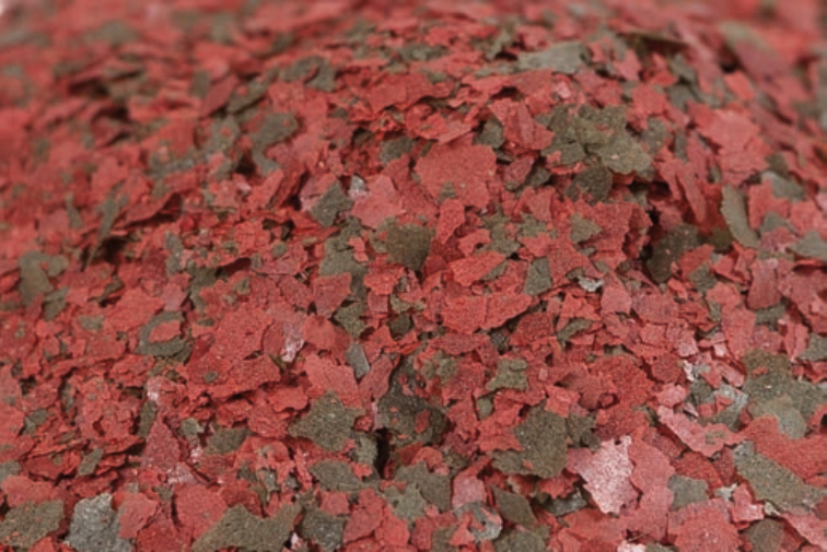 Fulgi tropical mixt cichlid -1 kg