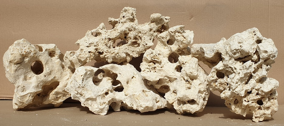 Roca cu gauri pentru ciclide 1kg