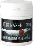 Benibachi SP MAX-H 30g
