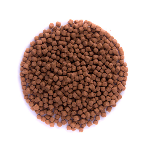 Gran color gold fish-1kg