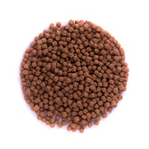 Gran color gold fish-1kg