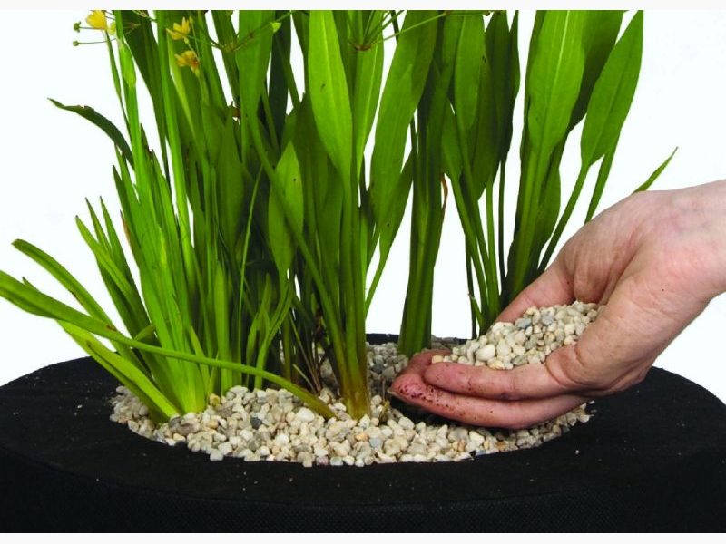 Substrat special pentru nuferi si plante de iaz -Pond Gravel 4/6 mm -8litri