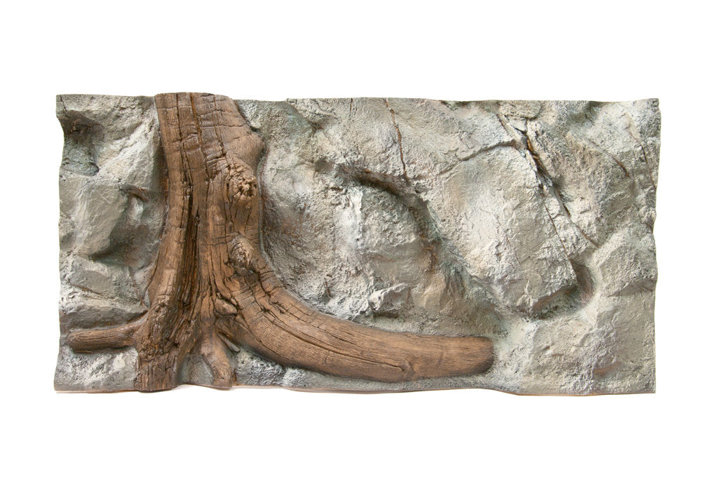 Background Amazon-100/47