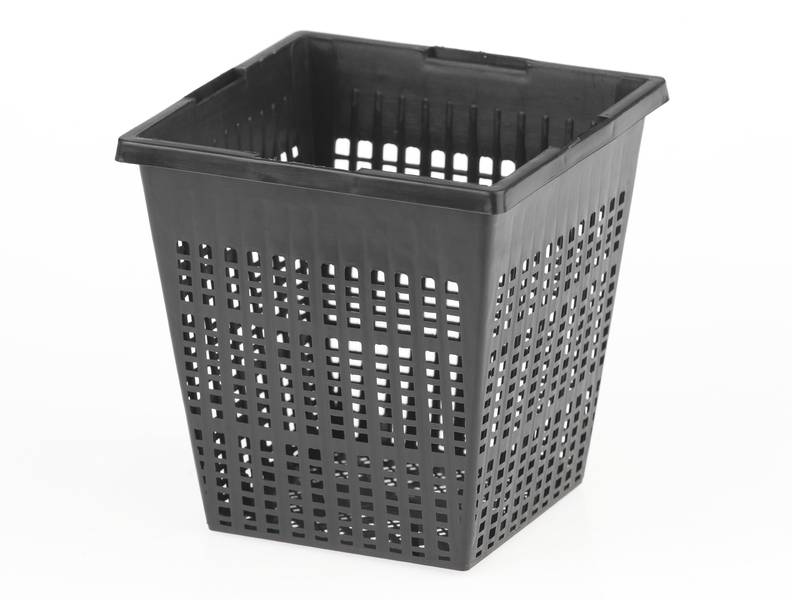 Cos patrat plante de iaz