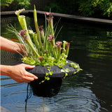 Insula plutitoare pentru plante-35 x 35 cm