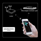 Lampă LED Zetlight Horizon E200 55W