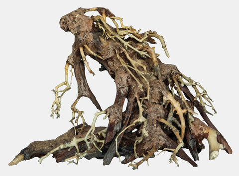 Bonsai Root S
