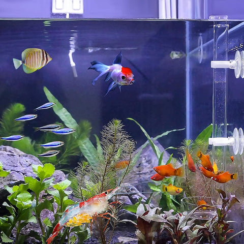 Tub de hrănire pentru creveți cu vas de hrănire -30cm