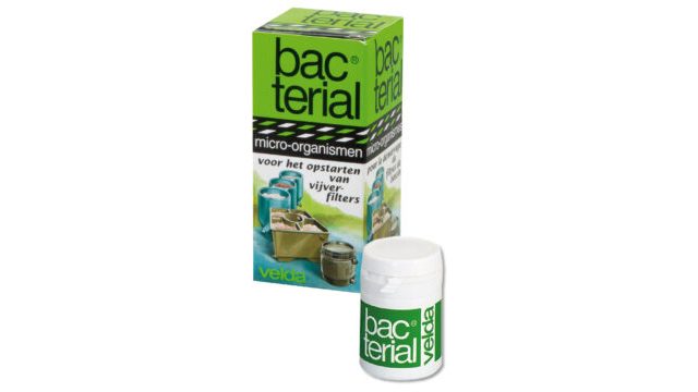 Culturi de bacterii 20ml