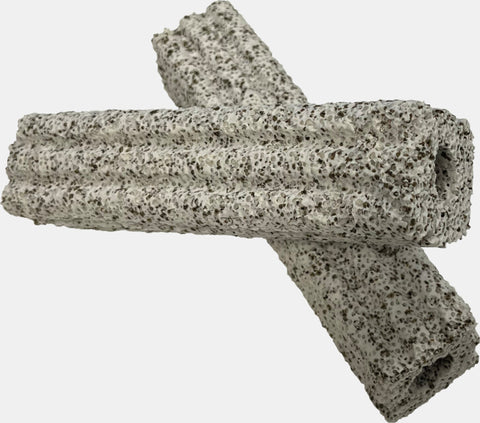 BACTERIA HOUSE 24BUC