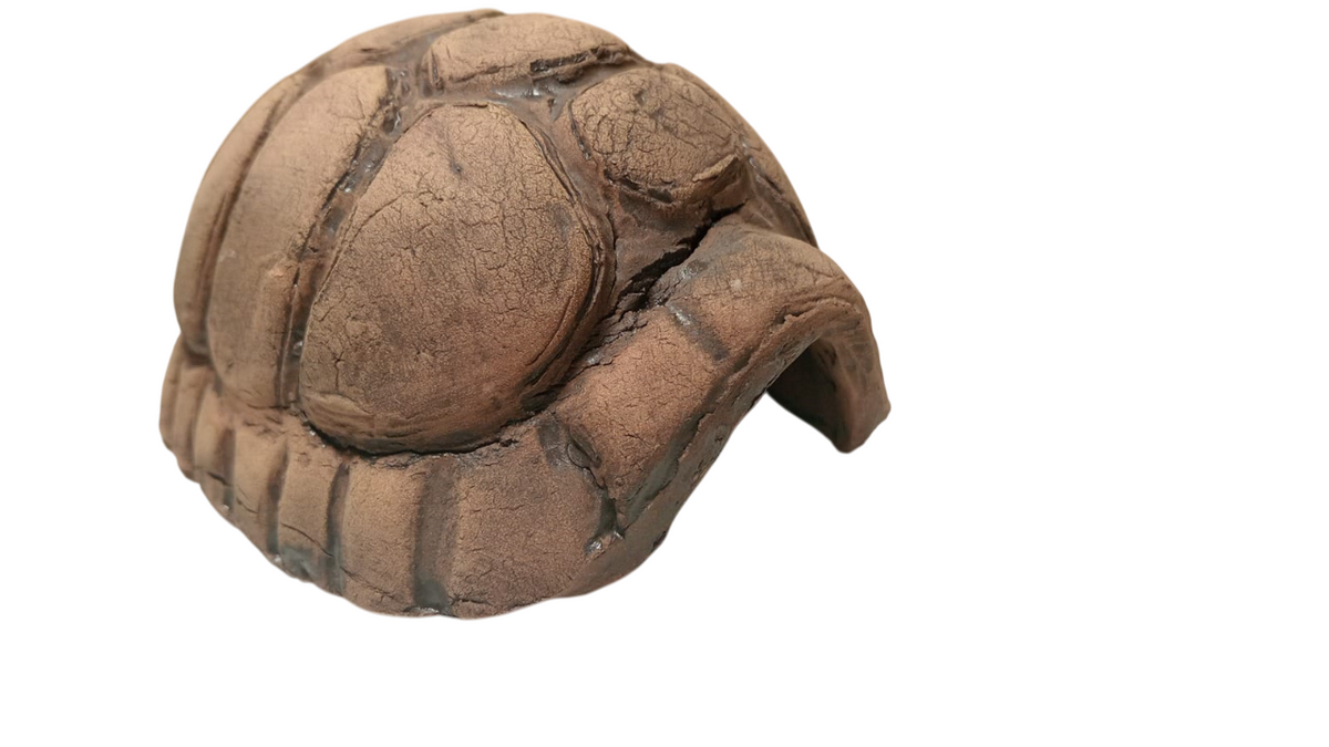 Decor ceramic carapace de broasca țestoasa
