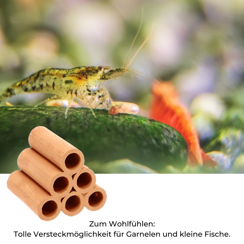 Decor ceramic piramida de creveti