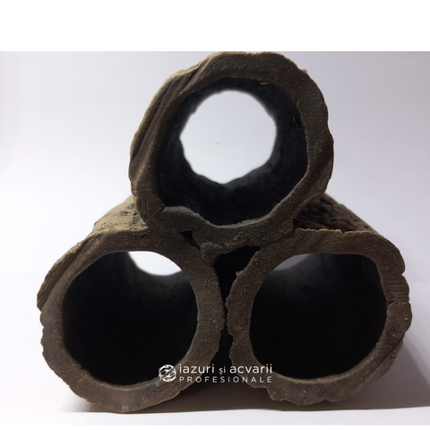 Decor ceramic piramida creveți