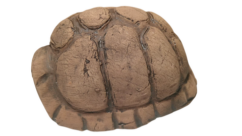 Decor ceramic carapace de broasca țestoasa