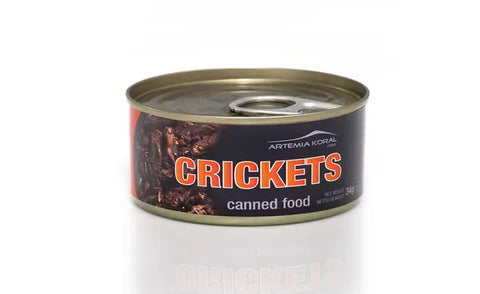 GREIERI LA CONSERVĂ-35g