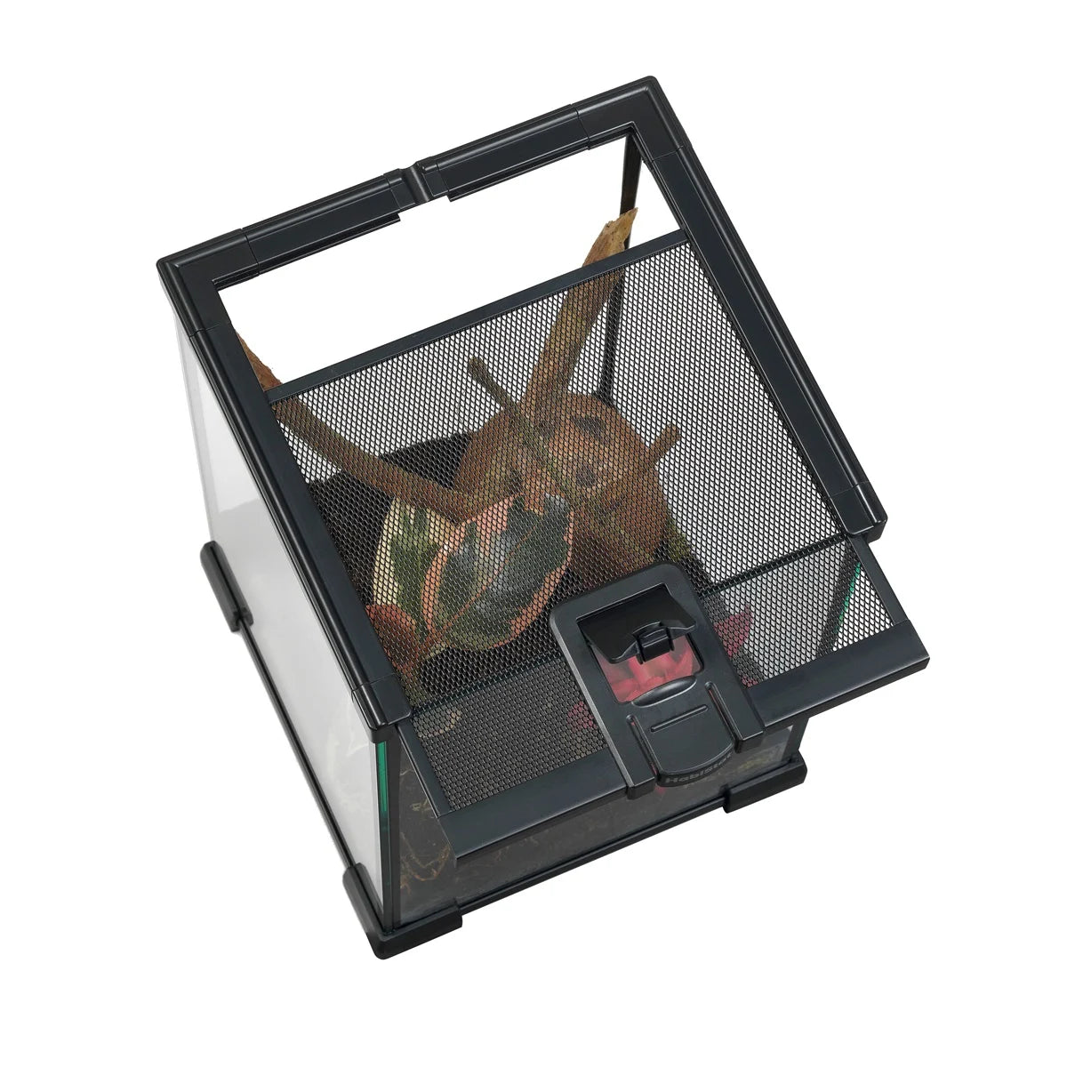 MINI TERRARIUM 20 X 20 X 30 cm