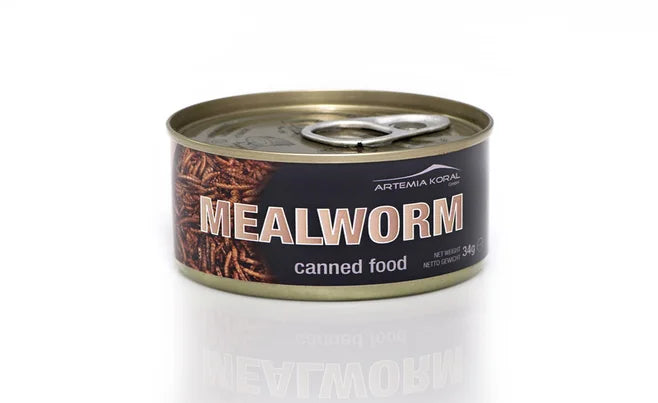 CONSERVĂ DE VIERMI DE făină 35gr