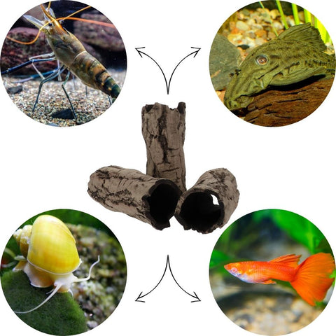 Decor ceramic scoarță de mesteacăn