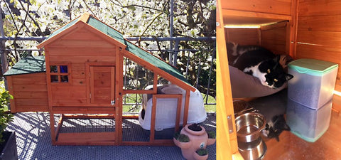 Cușca de găini cu cursă liberă și ladă de cuib, lemn de molid, 1720x660x1200mm