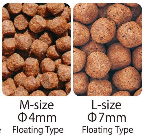 Hrana Premium JPD Color Enhancer Yamato 5kg L-7mm