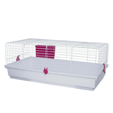 Cusca iepuri ,porcusori de guineea-100m