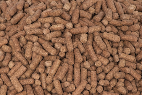 Gammarus sticks cichlide -1 kg