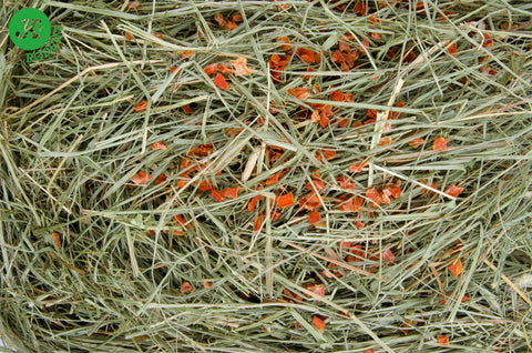 Fân natural cu morcov, așternut pentru rozătoare