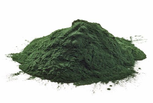 Spirulina Pulbere  1000 ml - Hrana pesti iazuri-acvarii.ro