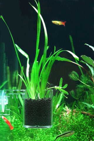 Ziss SF-0 (0,13 mm) BBS Cupă de alimentare / ghiveci de plante