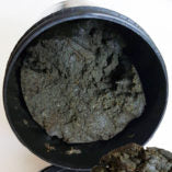 Daily Paste Wels Special – 350g