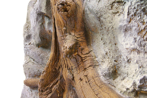 Background Amazon-100/47