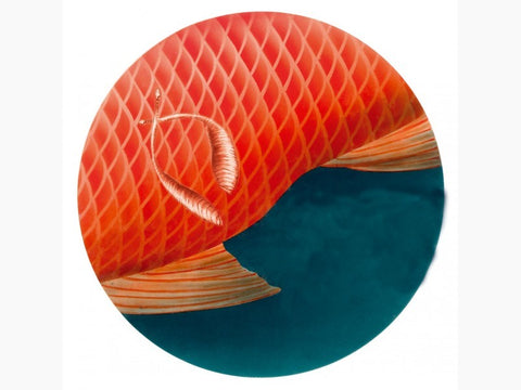 SaniKoi Paratex-tratament contra paduchilor si viermilor ancora-250ml